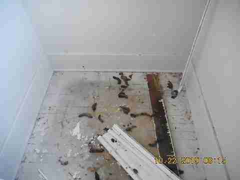 2675 Glendale (25)_m.jpg